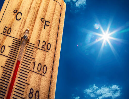 Sizzling Summer Retirement Savings: How Deferred Annuities Can Help Keep Your Retirement Plans Cool